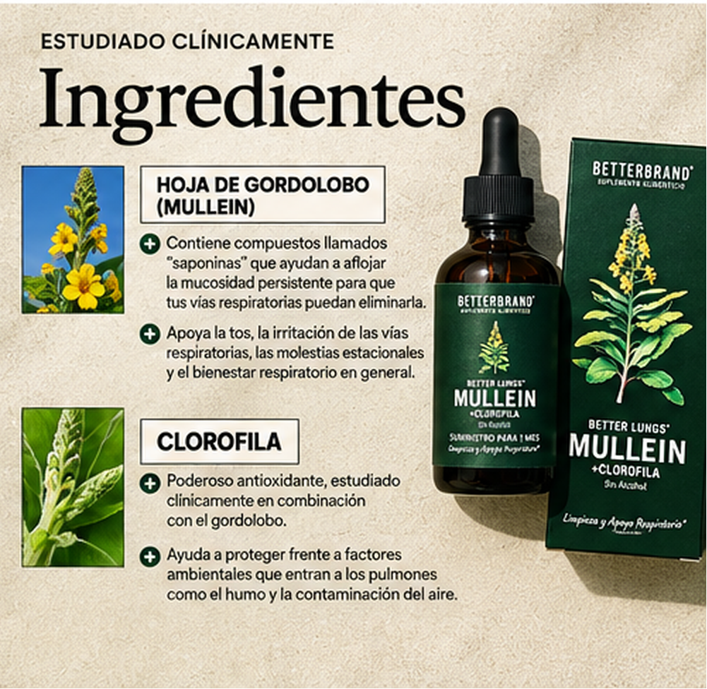 BETTERBRAND MULLEIN DETOX PULMONAR 60 ML